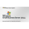 Microsoft Windows Small Business Server Premium 2011