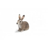 Schleich Vadnyúl