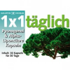 Magister Doskar 1x1 Pycnogenol-Alfa-Liponsav kapszula
