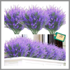  20 db műlevendula művirág UV-álló MG119990