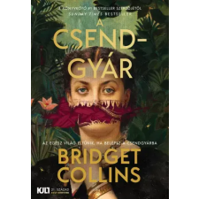 21. század A csendgyár egyéb e-könyv