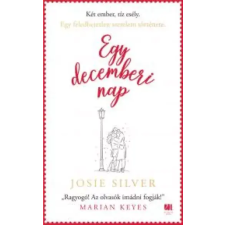 21. század Egy decemberi nap egyéb e-könyv