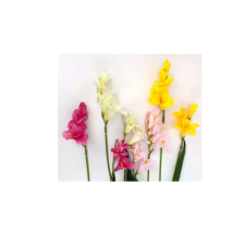  2 ágú frézia művirág 20639 dekoráció