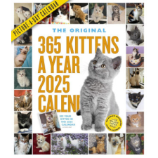  365 Kittens-A-Year Picture-A-Day(r) Wall Calendar 2025 naptár, kalendárium