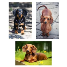  3 darabos konyharuha szett tacskós mintával KSZT-1 lakástextília