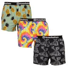 3PACK férfi bő szárú boxeralsók Horsefeathers Frazier (AM166BCD) L férfi alsó