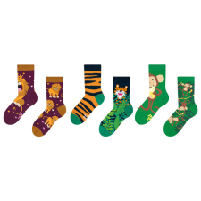  3PACK Vidám gyermek zokni Dedoles (GMKS471784) 23/26 gyerek zokni