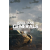 505 Games Total Tank Generals (digitális licenc)