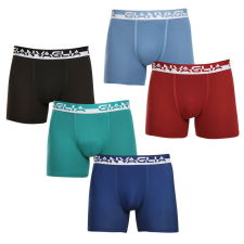 5PACK Férfi boxeralsó Gianvaglia többszínű (GVG-5011) M férfi alsó