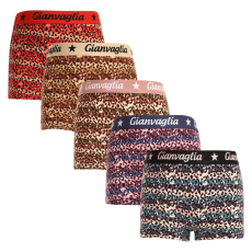  5PACK lányok boxeralsó lábszárral Gianvaglia többszínű (813) 110