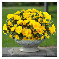  6 darab valósághű mesterséges kamélia művirág UQ1057822 dekoráció