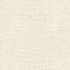  751321 tapéta (African Queen III 2025) tapéta, díszléc és más dekoráció