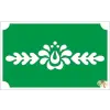  8x5 cm-es Csillámtetoválás sablon - Magyar motívum 12