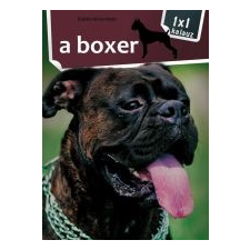  A BOXER hobbi, szabadidő