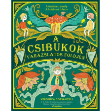 A csibukok varázslatos földjén gyermek- és ifjúsági könyv