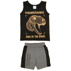 A-K Dinoszauruszos kisfiú nyári szett