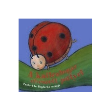 - A katicabogár elveszett pöttyei gyermek- és ifjúsági könyv