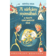  A sárkány nyomában - A pásztói oskolamester háza gyermek- és ifjúsági könyv