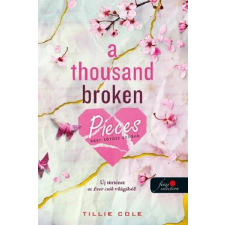 A Thousand Broken Pieces - Ezer törött szilánk gyermek- és ifjúsági könyv