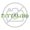 Absolute live recovery amino feketeribizli-bodzavirág ital 1000 ml