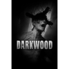 Acid Wizard Studio Darkwood (PC - Steam Digitális termékkulcs)