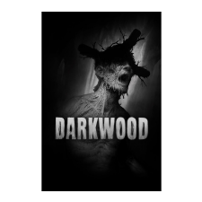 Acid Wizard Studio Darkwood (PC - Steam Digitális termékkulcs) videójáték