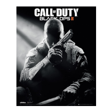 Activision Call of Duty: Black Ops II (PC - Steam Digitális termékkulcs) fogó