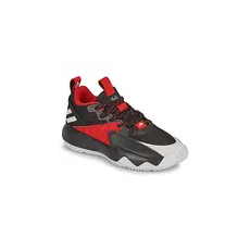 Adidas Kosárlabda DAME CERTIFIED Fekete 42