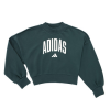 Adidas Pulóverek Seasonals Essentials Collegiate Typography Crewneck Sweatshirt K Zöld 9 / 10 éves
