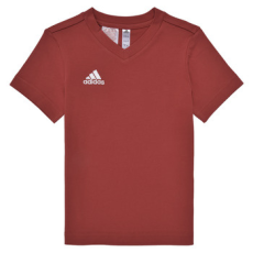 Adidas Rövid ujjú pólók ENT22 TEE Y Piros 5 / 6 éves