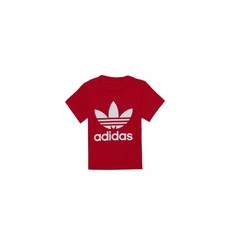 Adidas Rövid ujjú pólók TREFOIL TEE Piros 18 / 24 hónapos
