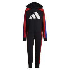Adidas tréningruha W Ts Big Logo GT3709 - nők Fekete XXS női edzőruha