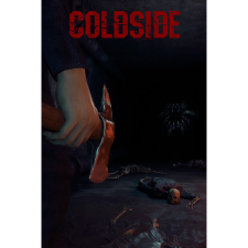 AdroVGames ColdSide (PC - Steam elektronikus játék licensz) videójáték