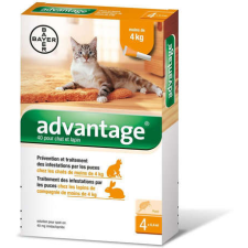 Advantage 40 spot on nyulaknak és macskáknak (4 kg-ig) (4 db pipeta) 4 x 0.4 ml élősködő elleni készítmény kutyáknak
