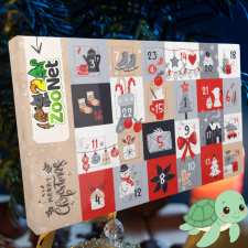  Adventi naptár vízi teknősöknek – Egyedileg összeállított ünnepi finomságválogatás naptár, kalendárium