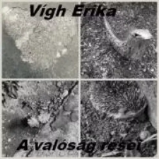 AGENDA A valóság rései egyéb e-könyv