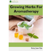 Agrihortico Growing Herbs For Aromatherapy