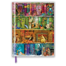  Aimee Stewart: A Stitch in Time Bookshelf (Blank Sketch Book) – Flame Tree Studio naptár, kalendárium