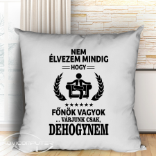 Ajándék főnöknek - Vicces párna lakástextília