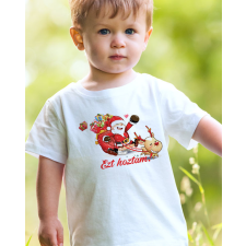  Ajándék mikulásra - Ezt hoztam gyerek póló gyerek póló