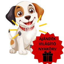  Ajándék Világító Nyakörv nyakörv, póráz, hám kutyáknak