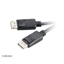 Akasa DisplayPort Kábel 2m - fekete kábel és adapter