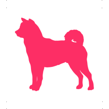  Akita kutya autó matrica pink #228 matrica