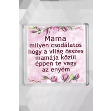 Akril hűtőmágnes - Csodálatos nagymama hűtőmágnes