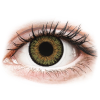 Alcon FreshLook One Day Color Pure Hazel - dioptriával (10 db lencse)