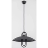 Alfa Alfa SALIX 60593 Függőlámpa 1x60W/E27 IP20