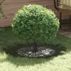  Alkalmas lapos fa gyűrűkhez 5 pcs Oliva zöld Ø50 / 80 cm Acél