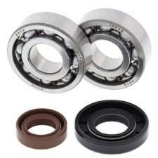 ALL BALLS MINDEN GÖMB Csapágy és Olajtömítés Készlet egyéb motorkerékpár alkatrész