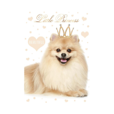 Állatos Kutyás Little Princess A/4 gumis mappa mappa