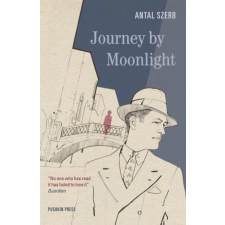 Alma Books Journey by Moonlight regény